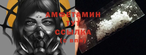 хмурый Арсеньев