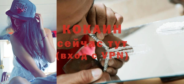 хмурый Арсеньев