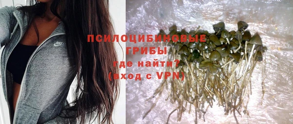 хмурый Арсеньев